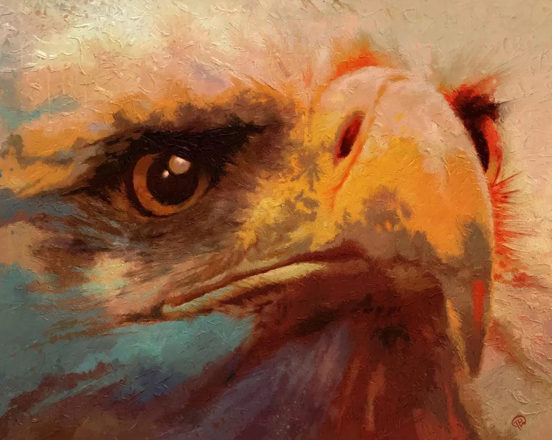 Close-up painting of a bald eagle's eye and golden beak in warm amber, red and teal brushwork